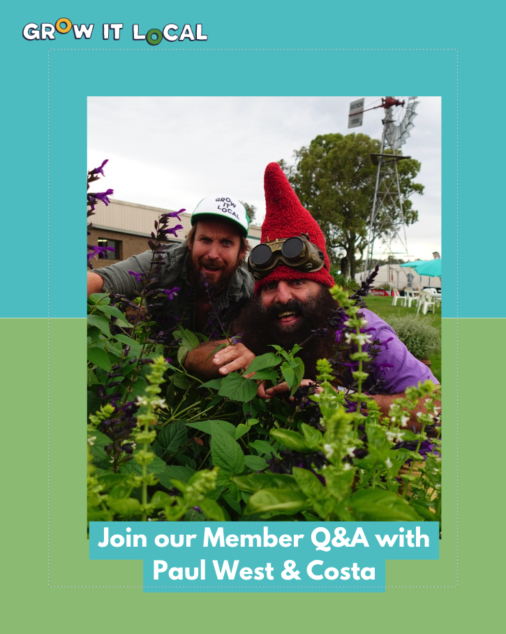 Garden Q&A event with local experts.